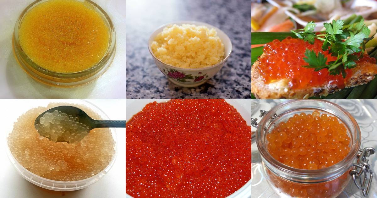 Черная икра для кожи - применение, рецепты масок и полезные свойства черной икры | za-rozhdenie.ru