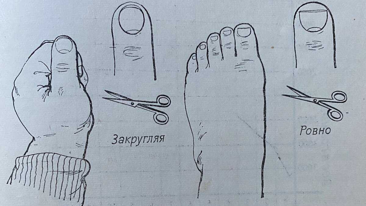 Как стричь ногти на руках. как правильно стричь ногти на руках