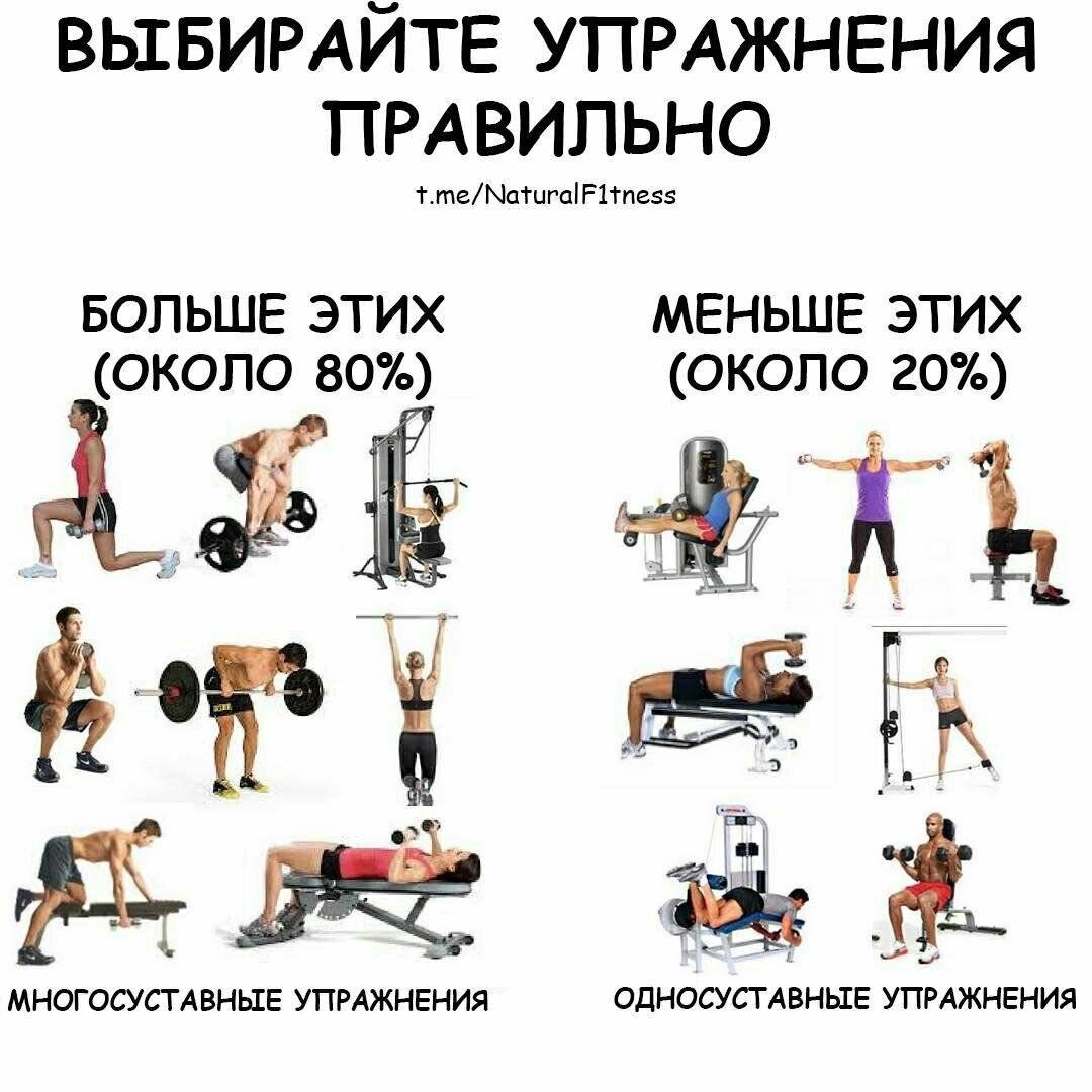 Лучшие упражнения для плеч девушкам в тренажерном зале и домашних условиях