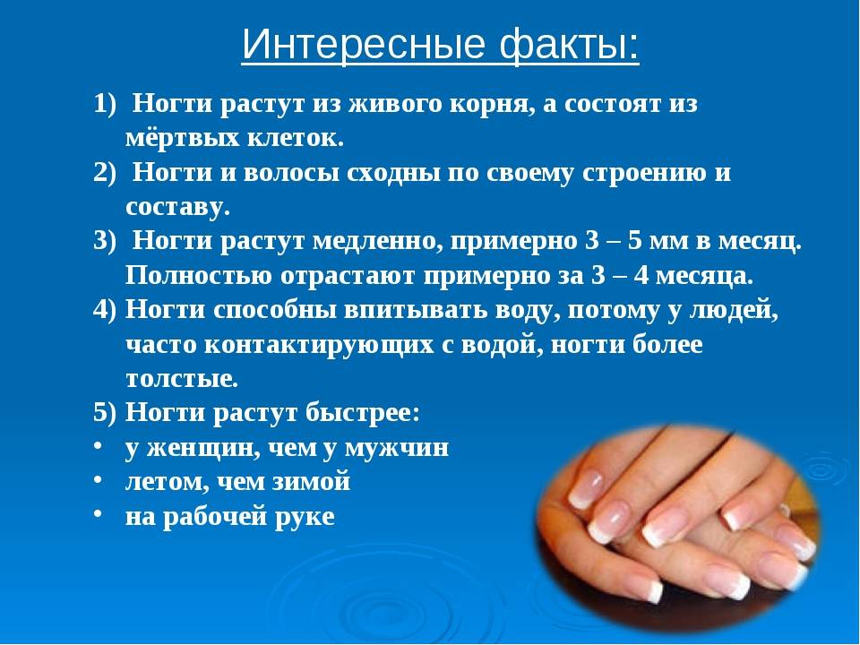 Китайские императрицы, исламские лаки и черный нейл-арт: введение в политическую теорию маникюра