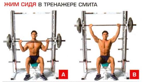 Жим штанги сидя в тренажере смита | power-body
