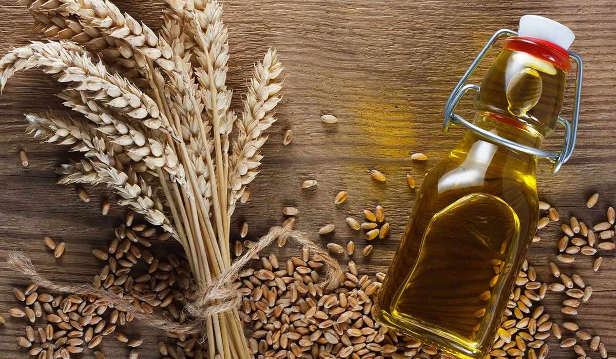 Масло зародышей пшеницы от морщин: целебные свойства продукта и способы его использования | нет морщин