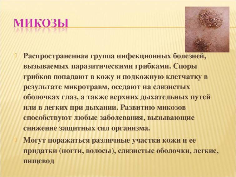 Что нужно знать мастеру красоты о грибке кожи