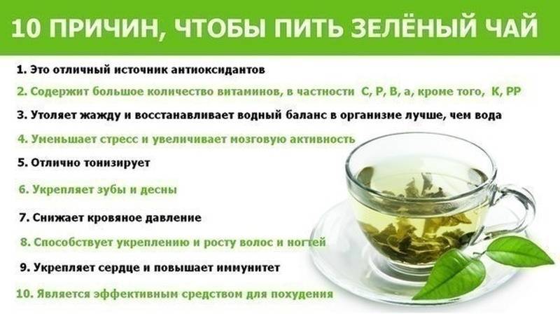 Польза и вред зеленого чая для организма - поможет ли зеленый чай похудеть?