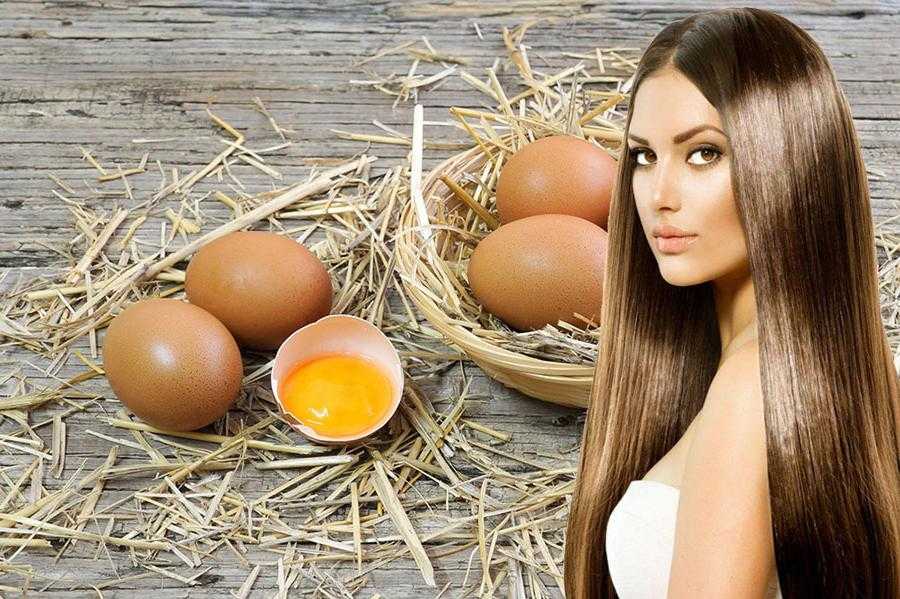 Как готовится маска для волос с яйцом и какие бывают их виды?