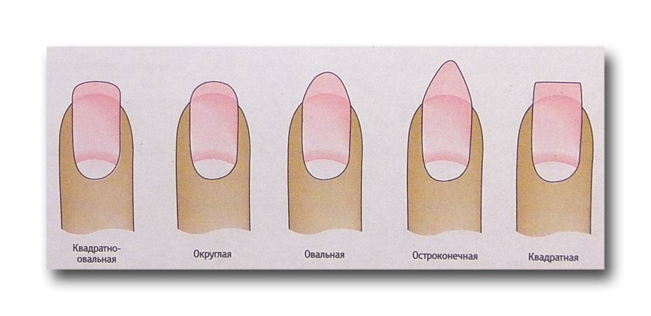Овальная форма ногтей - как сделать в домашних условиях