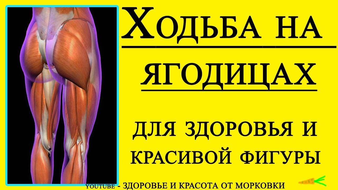 Замечательная ходьба на ягодицах: польза и вред упражнения