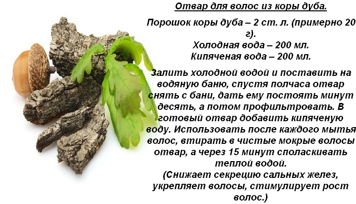 Кора дуба: от чего помогает, от каких болезней