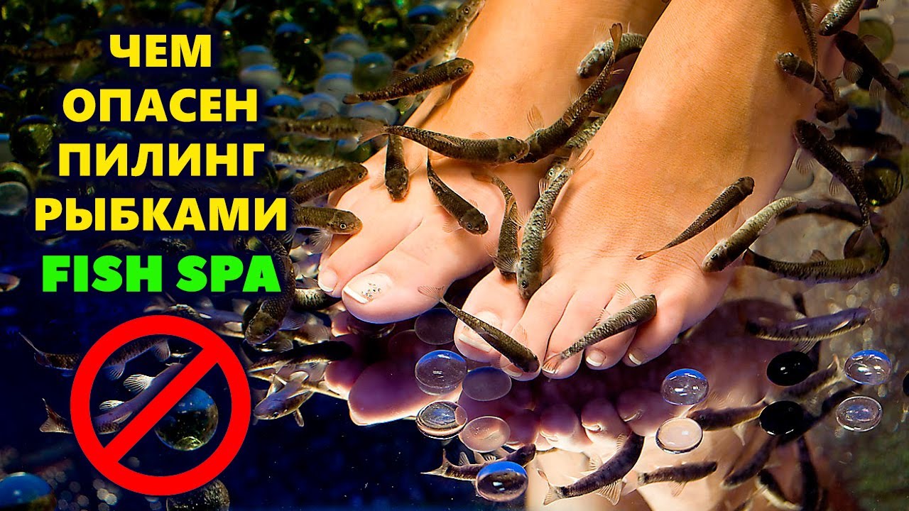 Пилинг рыбками гарра руфа: показания и противопоказания