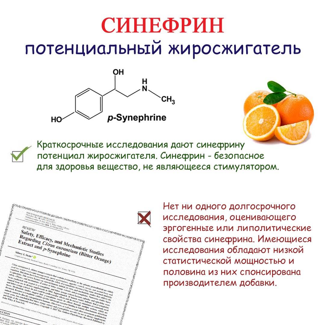 Синефрин для похудения: особенности применения жиросжигателя