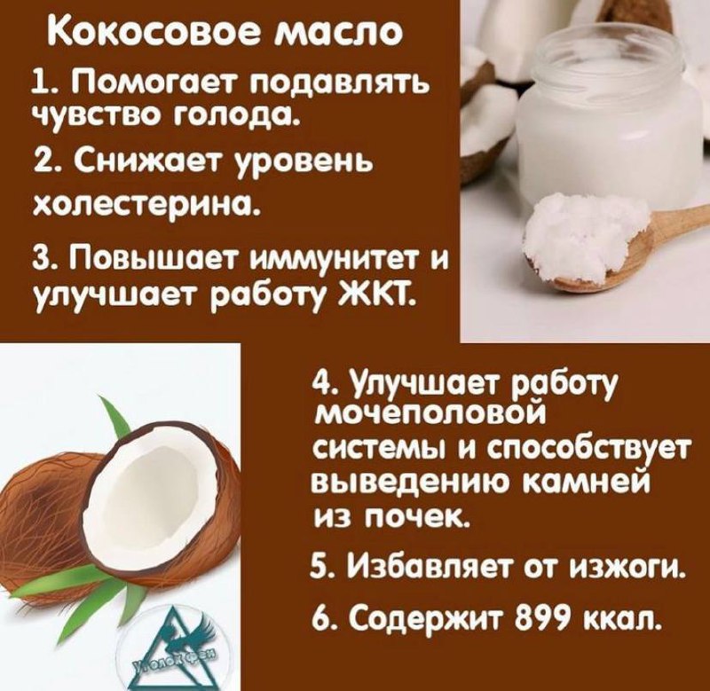 Кокосовое масло: как выбрать, использовать, польза, топ-10 брендов