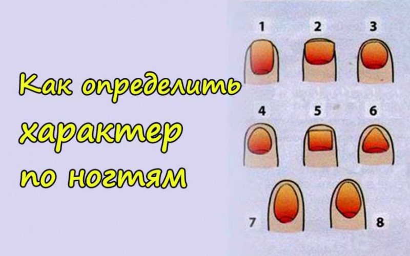 Характеристика по форме ногтей. энциклопедия хиромантии: ваша судьба как на ладони