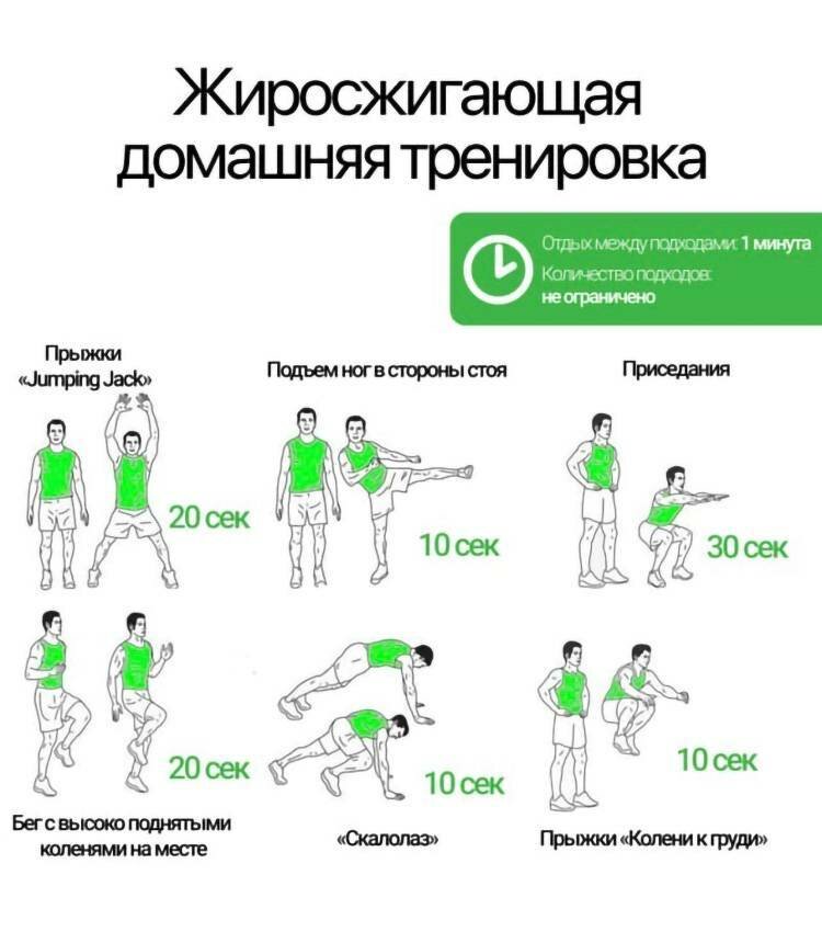 Жиросжигающая тренировка в домашних условиях
