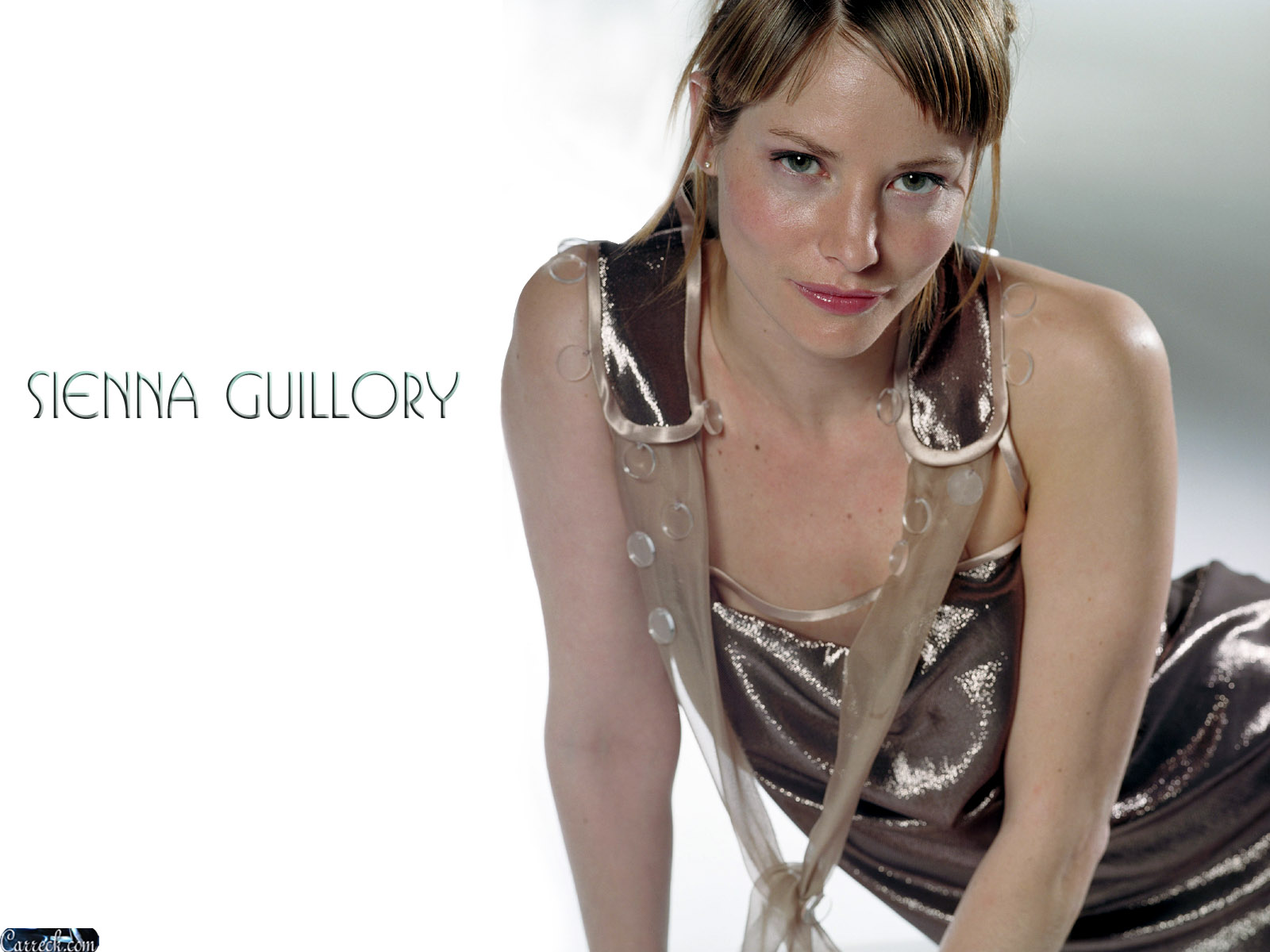 41 sexiest pictures of sienna guillory