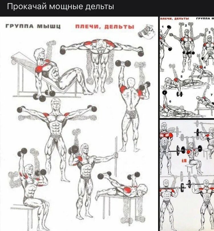 Как накачать плечи