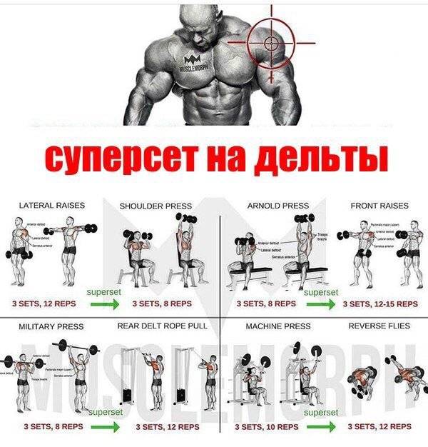 Топ-8 эффективных упражнений на плечи с гантелью и штангой
