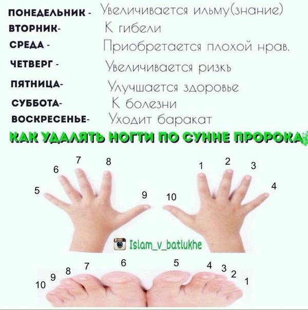 Как выбрать время для стрижки ногтей