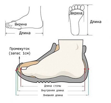 Как правильно подобрать размер