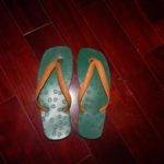 Что такое сланцы