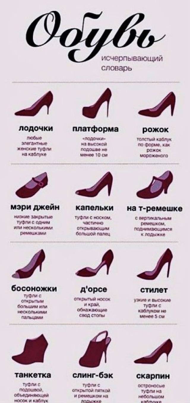 Виды женских туфель