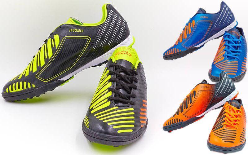 Многошиповки или сороконожки