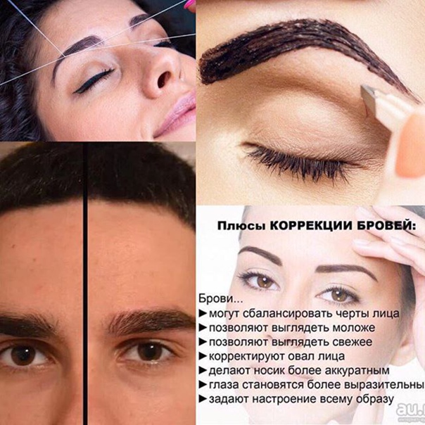 Форма бровей: виды, правила выбора и способы коррекции