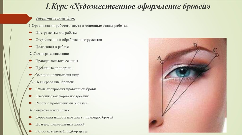 Техника моделирования бровей в домашних условиях
