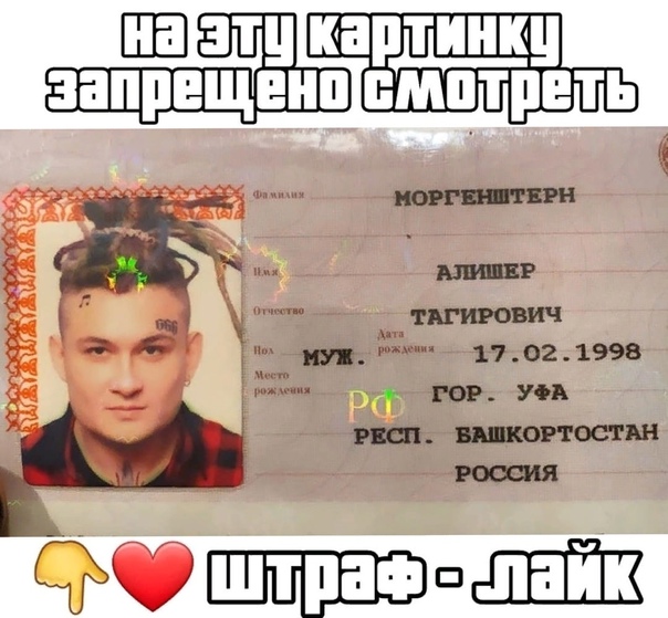 Алишер моргенштерн: биография, карьера, личная жизнь | биографии известных людей