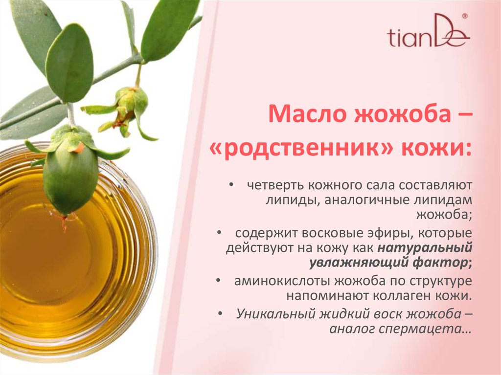 Масло жожоба: свойства и применение, польза и вред