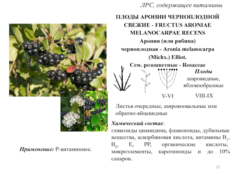 Рябина для лица