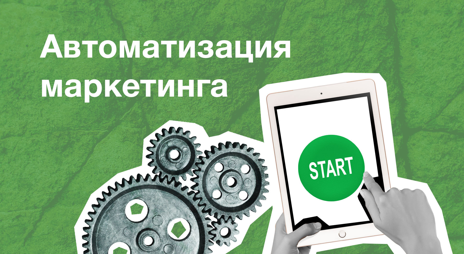 Внедрение crm в салоне красоты: ключевые шаги и преимущества автоматизации « бнк