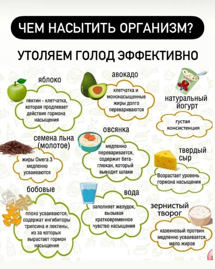 17 самых сытных продуктов или как забыть про чувство голода :: инфониак