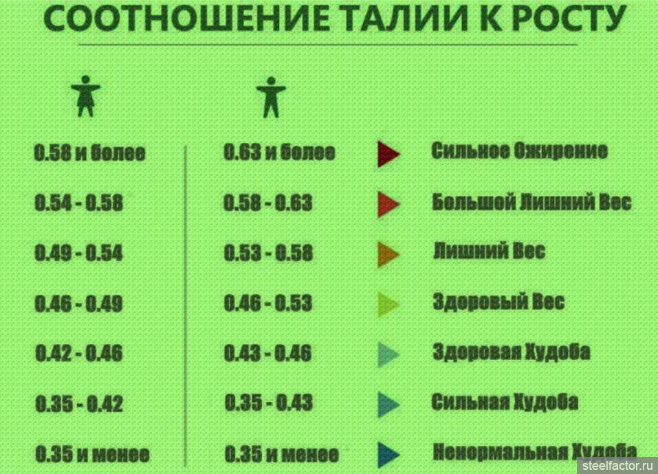 Как уменьшить талию: упражнения + готовый план (фото)