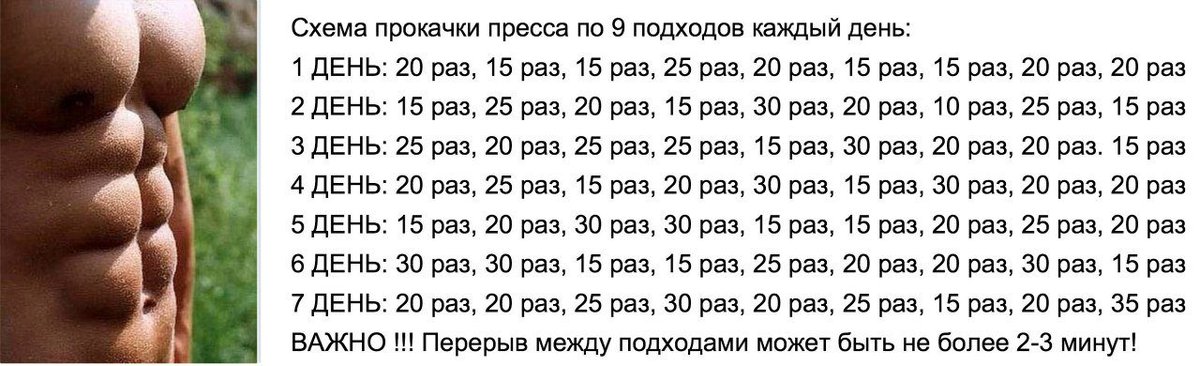 Программа тренировок на пресс в домашних условиях для девушек и мужчин