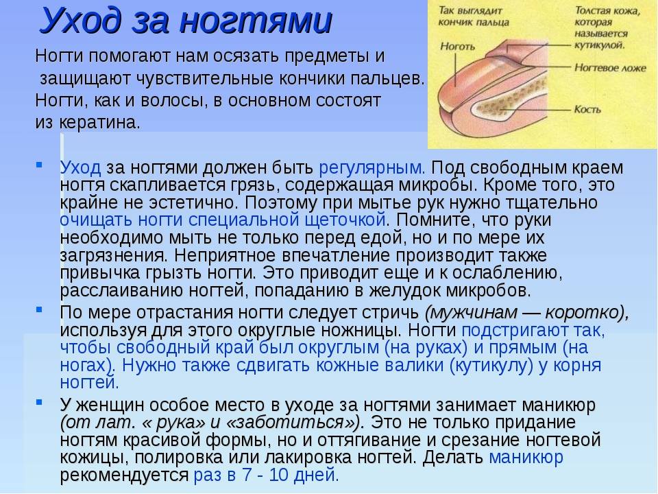 Как распознать и лечить начальную стадию грибка на руках и ногах