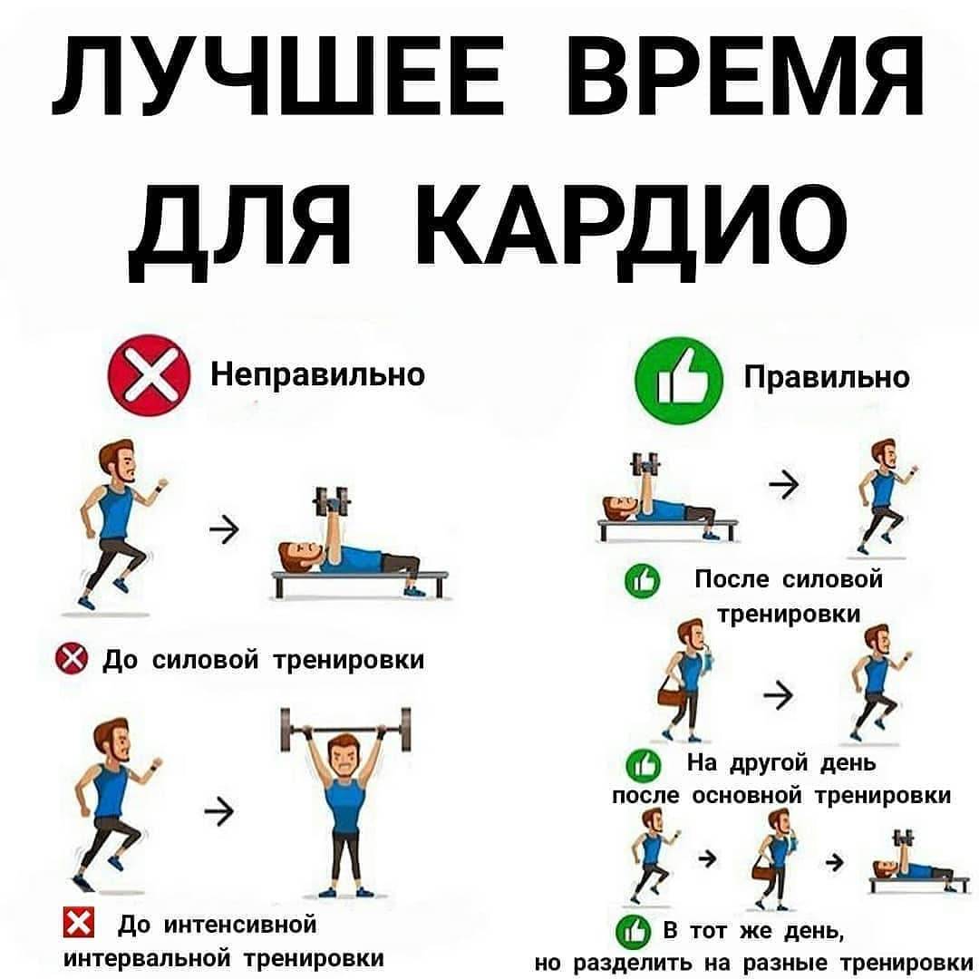 Программы круговых тренировок в тренажерном зале для девушек