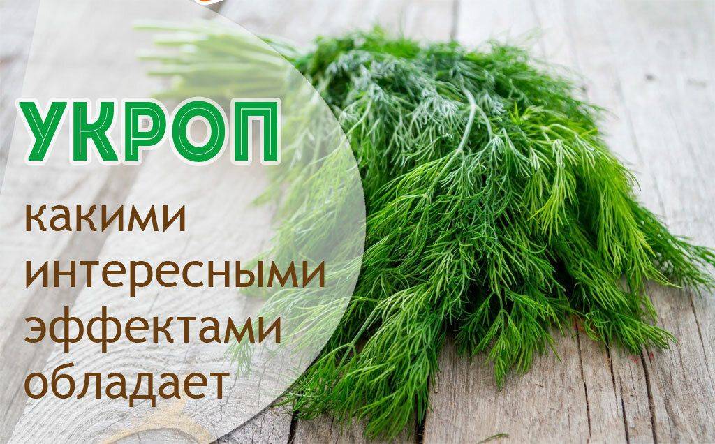 Маска из петрушки для лица: 6 рецептов в домашних условиях и обзор 2 средств