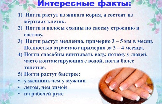 Как ускорить рост ногтей в домашних условиях: средства и советы