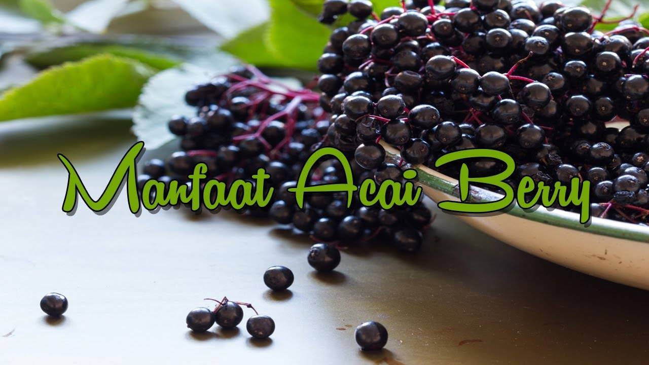 Калорийность ягод