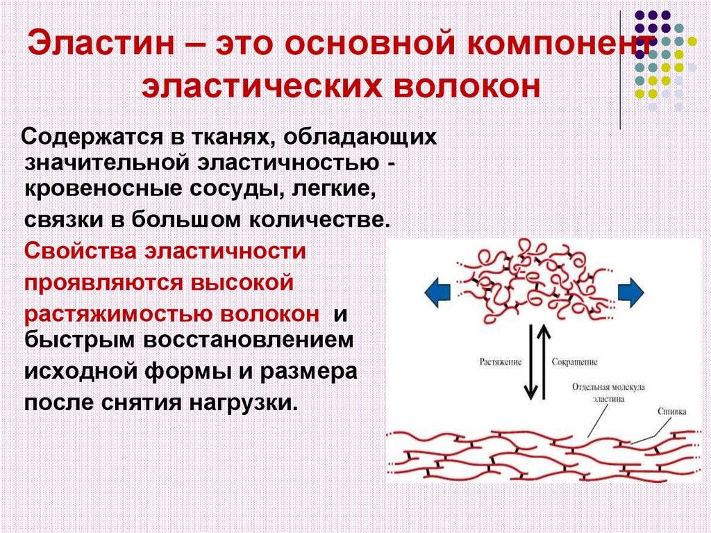 Эластин для кожи лица: в таблетках и ампулах, продуктах питания, косметике