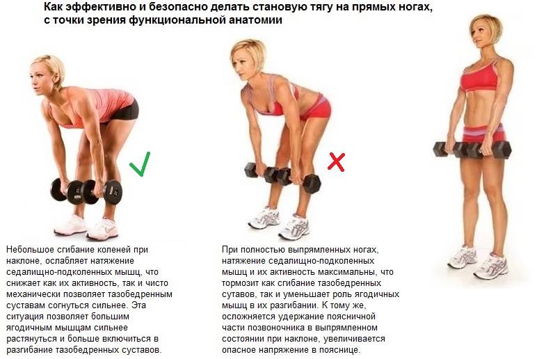 Румынская тяга или мертвая тяга для женщин. Отличия, техника