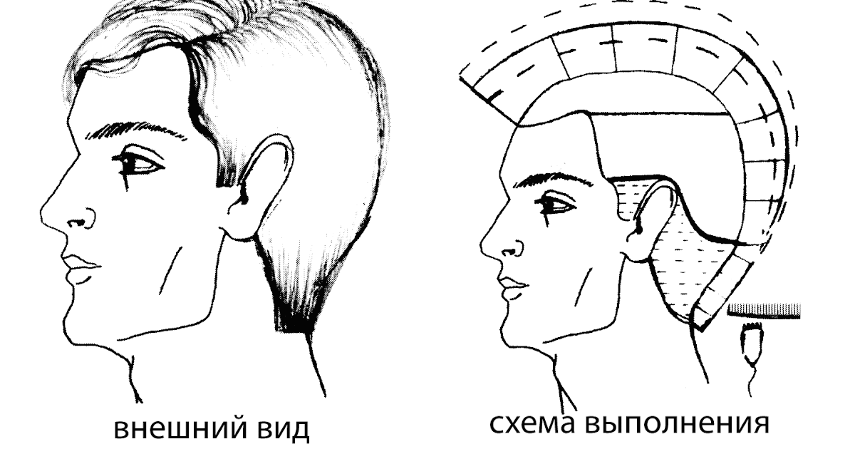 Стрижка теннис- техники выполнения, способы укладки