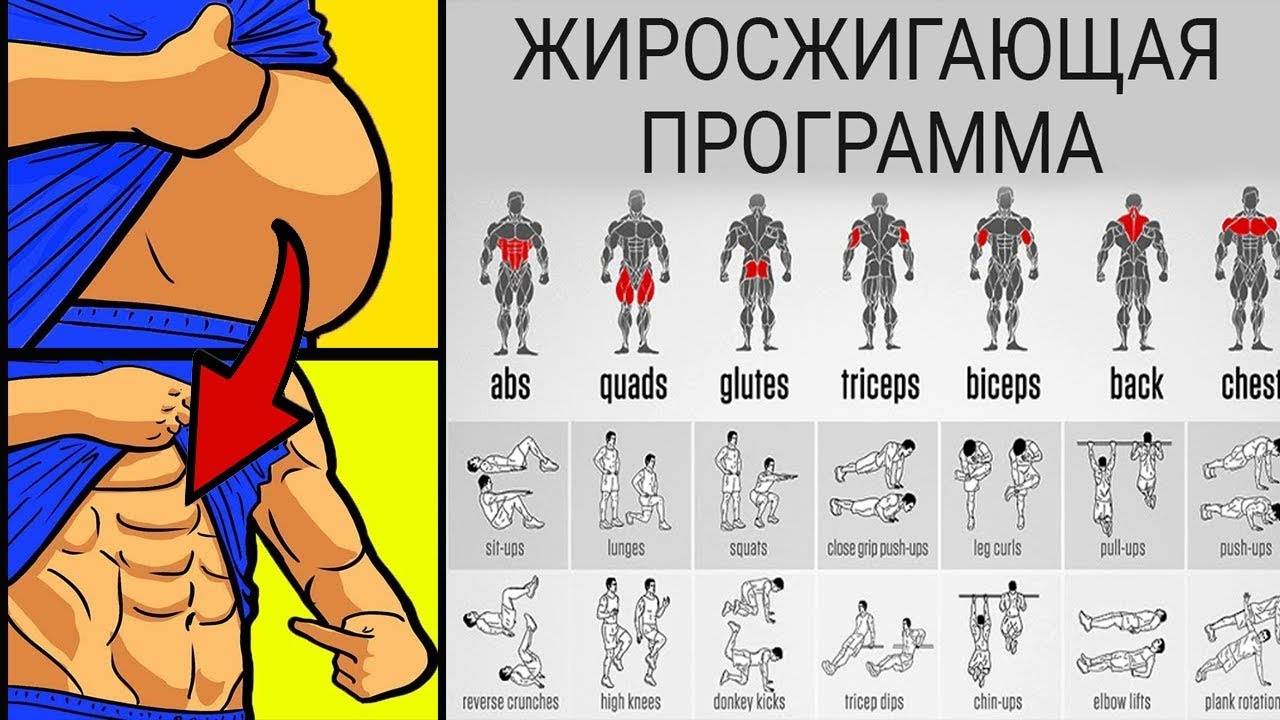 Программа тренировок в тренажерном зале для девушек для похудения: лучшие упражнения и пример меню питания