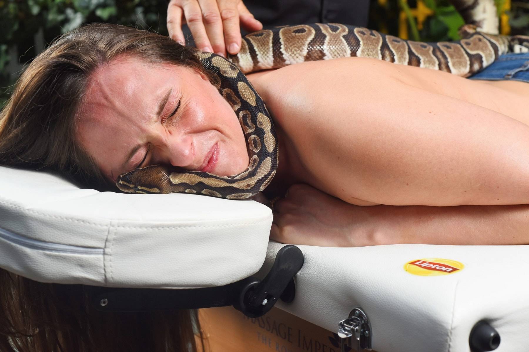 Массаж змеями, особенности спа-новинки