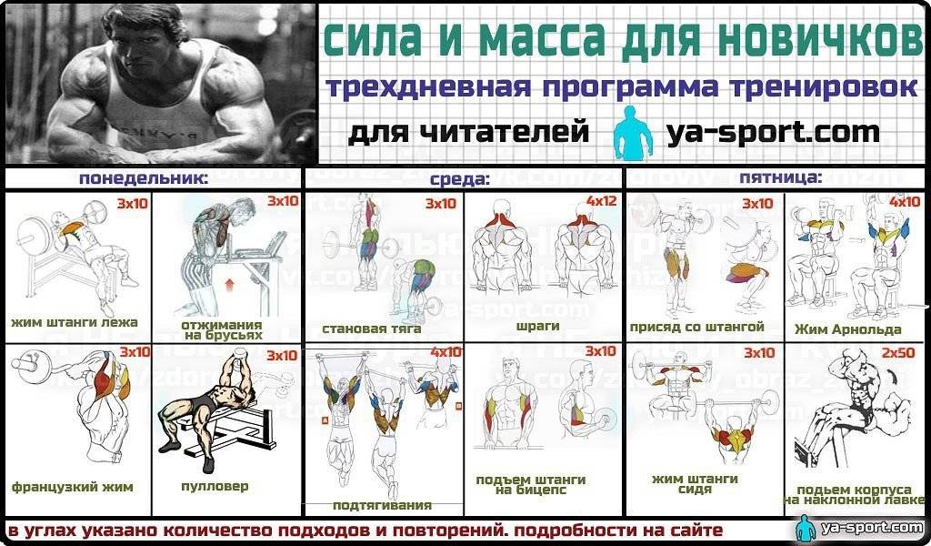 Программа тренировок в тренажерном зале для девушек для похудения: лучшие упражнения и пример меню питания