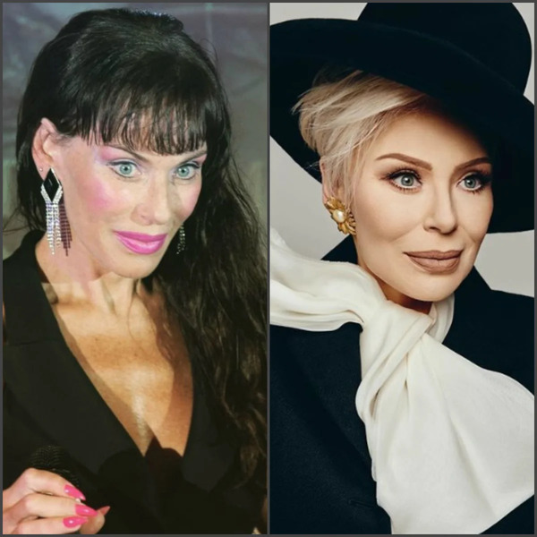 Ирина понаровская — возвращение на большую сцену, выступления, история жизни