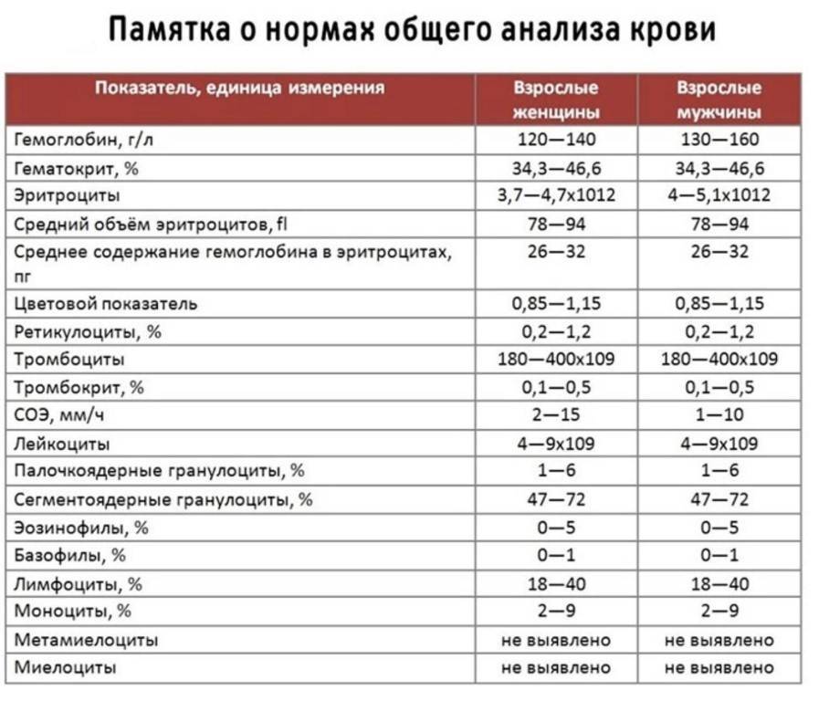 Биохимический анализ крови: нормы показателей в таблице и расшифровка результатов у взрослых и детей
