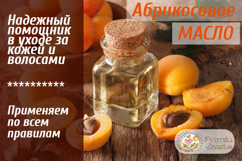 Свойства и применение абрикосового масла
