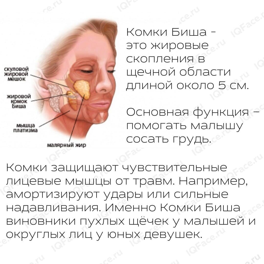 Удаление комков биша- суть процедуры избавления от жировых мешков