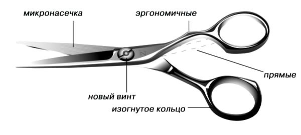 Разновидности парикмахерских ножниц